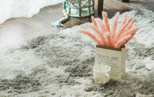 常熟賽芙蓉纖維制品有限公司，丙綸短纖維，丙綸短纖，pp短纖，功能丙綸短纖維